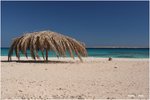 IMG_1518_adjusted
