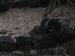 IMG_0093