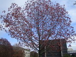IMG_0150