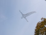DSC_0431