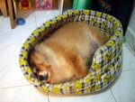 CIMG3412_大小 _exposure