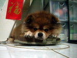 CIMG3496_大小 _exposure