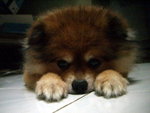 CIMG3510_大小 _exposure