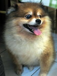 IMG_3809_exposure_大小