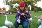 feed ducks in parnell park, auckland