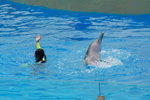 DSC_0076_大小
