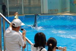 DSC_0095_大小