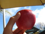 DSC07603