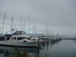 DSC07865