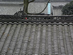 DSCN0692