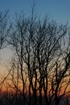 DSC_1708