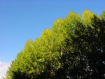 DSC00480