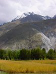 DSC00534