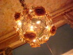 DSC08118