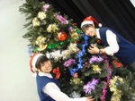 Oh  Christmas Tree