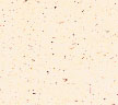 Tanspecks