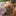 http___xml_shareware_pro_juegos_slide_jpg