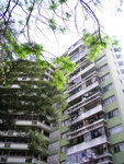 P1010016