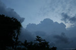IMG_1124.jpg