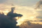 PICT0082.jpg