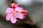 IMG_7676