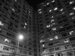 IMG_0554