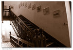 Oak Stairs