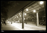 20061110Lamma-08