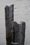 _MG_0003csn