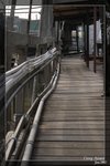 _MG_9981csn