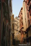 IMG_0816sn