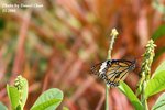 IMG_1287sn