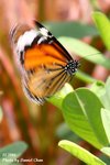 IMG_1291sn