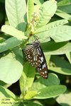 IMG_1296sn