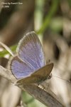 _MG_2347sn