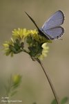 _MG_2364sn