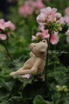 _MG_0044s