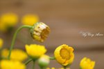 _MG_0057s