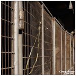 _MG_0057csn