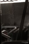 _MG_0112csn