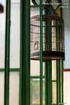 IMG_0719sn