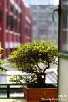 IMG_0720sn