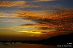 _MG_2247sn