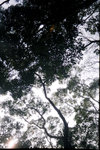 96090013