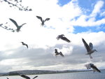 adelaide_harold_9-7-05 187