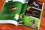 書中內頁「昆蟲攝攝影」部分使用了本人的作品（P132 - P133）