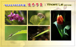 loting190908-Vincent Lai