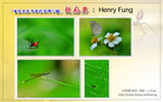 S02-Henry Fung