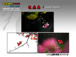H04-Jade Kwan