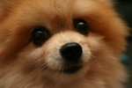 mY SwEeTiE* =]